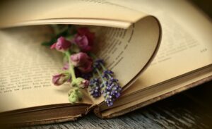 Le pagine di un vecchio libro con in mezzo fiori freschi di campo